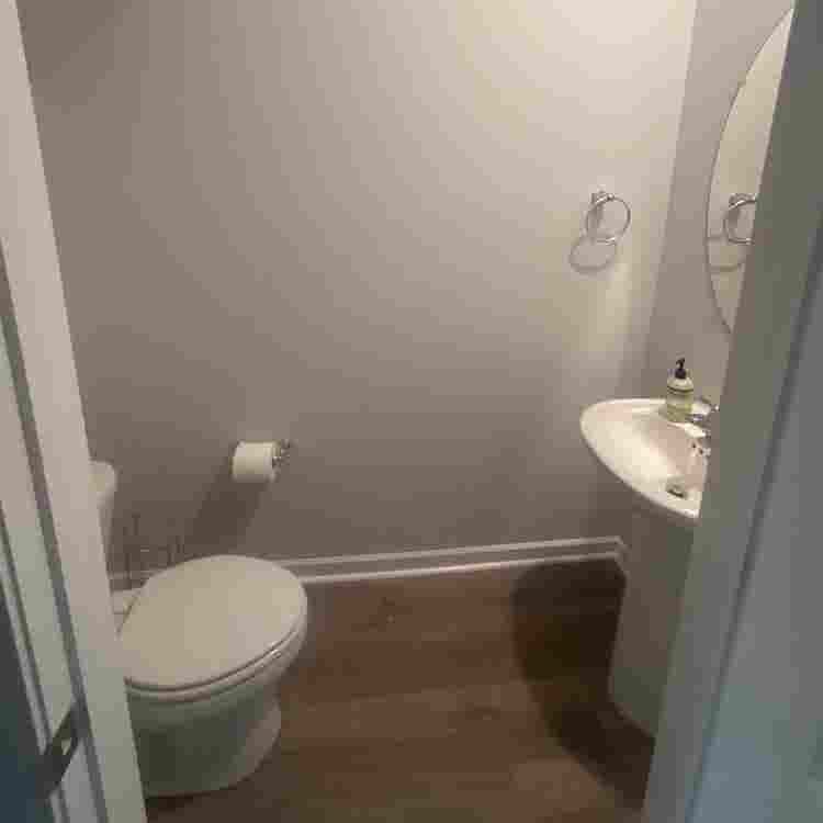 Seeking Roomate for Downstairs Room