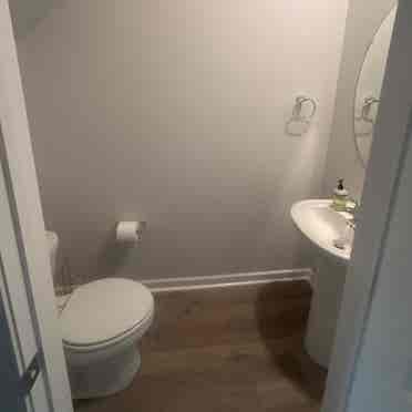 Seeking Roomate for Downstairs Room