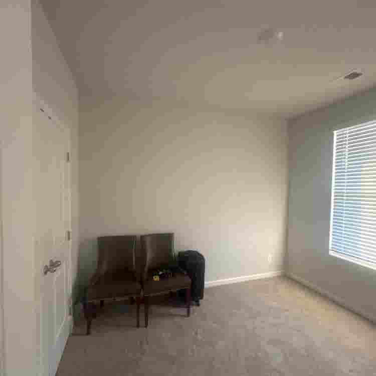 Seeking Roomate for Downstairs Room