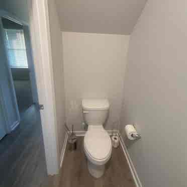 Seeking Roomate for Downstairs Room