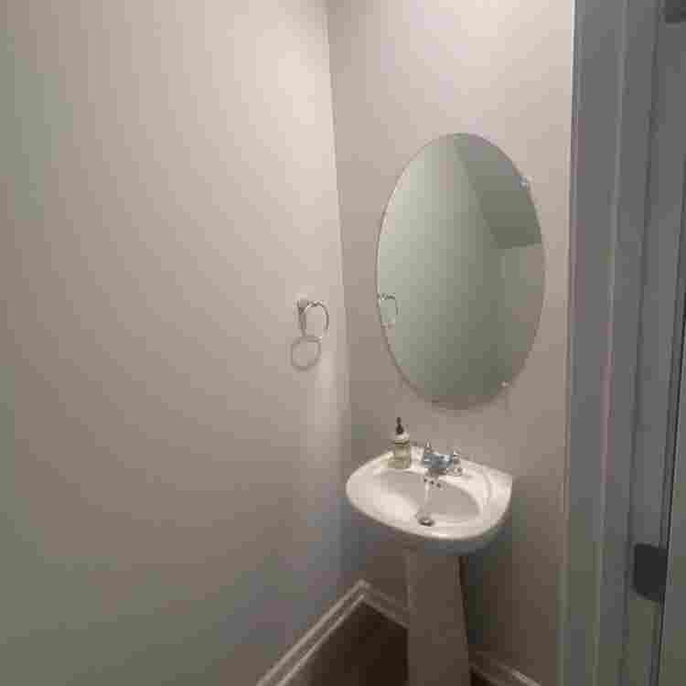 Seeking Roomate for Downstairs Room
