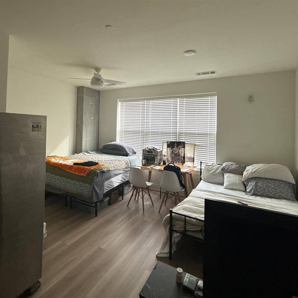 Looking for a roomie