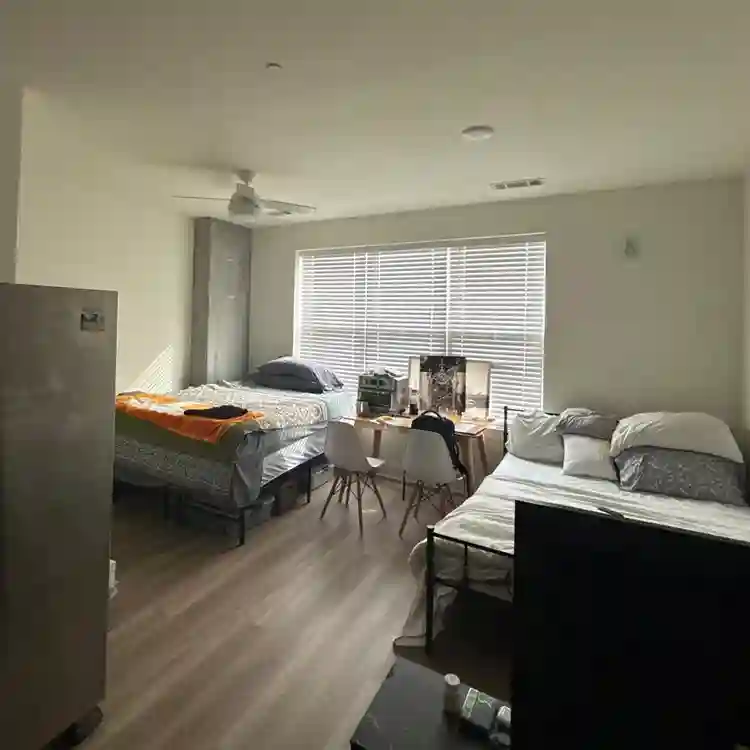 Looking for a roomie