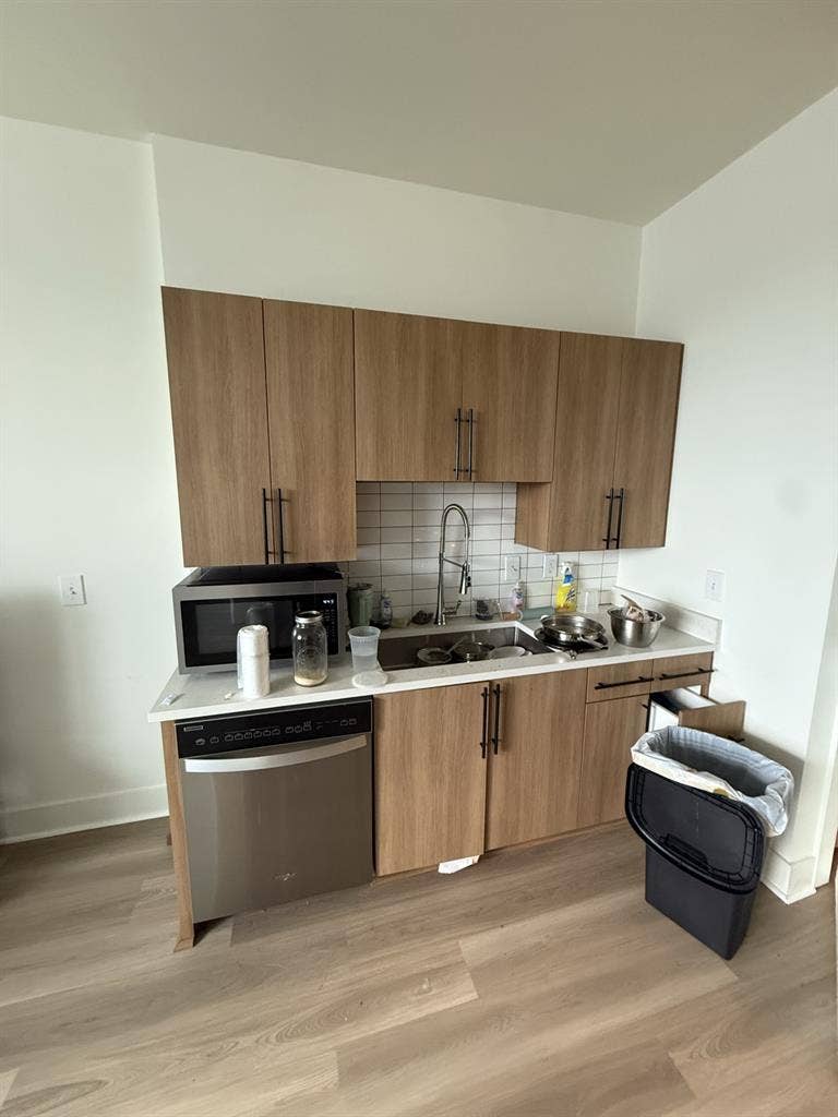 Looking for a roomie