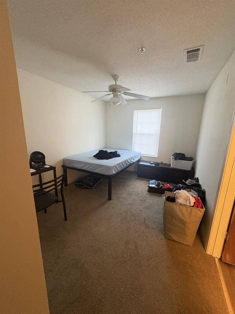 Room in Chapel Hill w/ Amenities