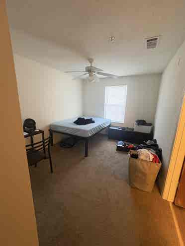 Room in Chapel Hill w/ Amenities