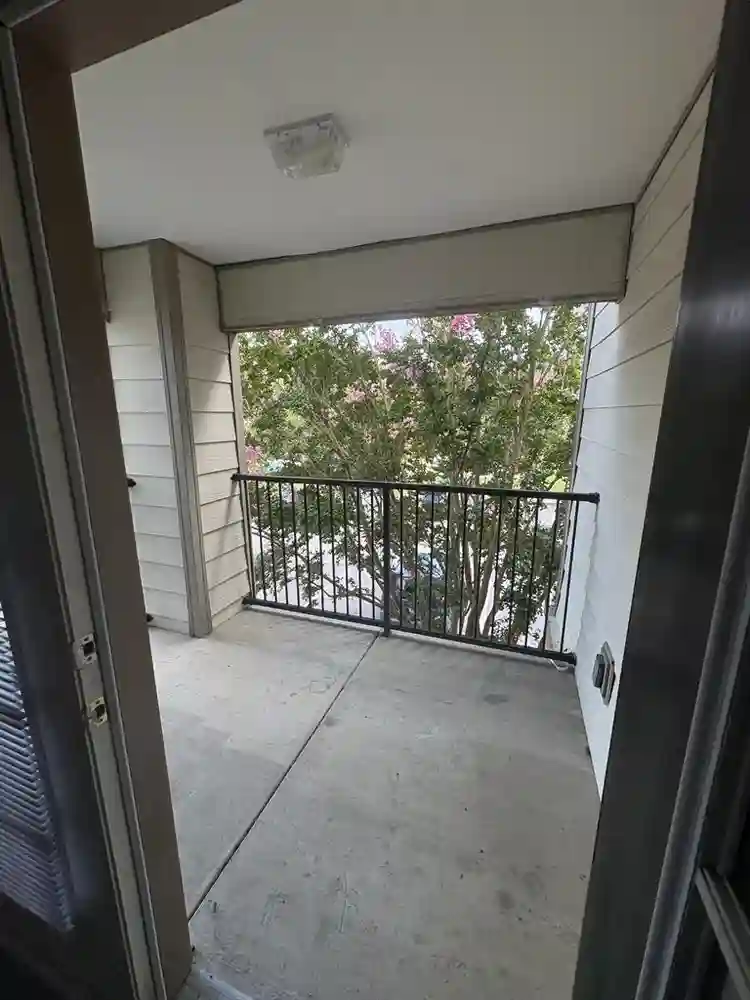 Room in Chapel Hill w/ Amenities