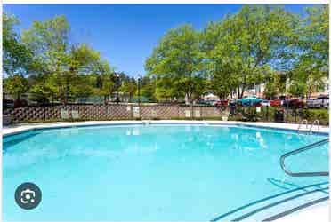 Room in Chapel Hill w/ Amenities