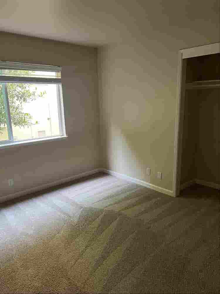 Private room and bathroom in Davis
