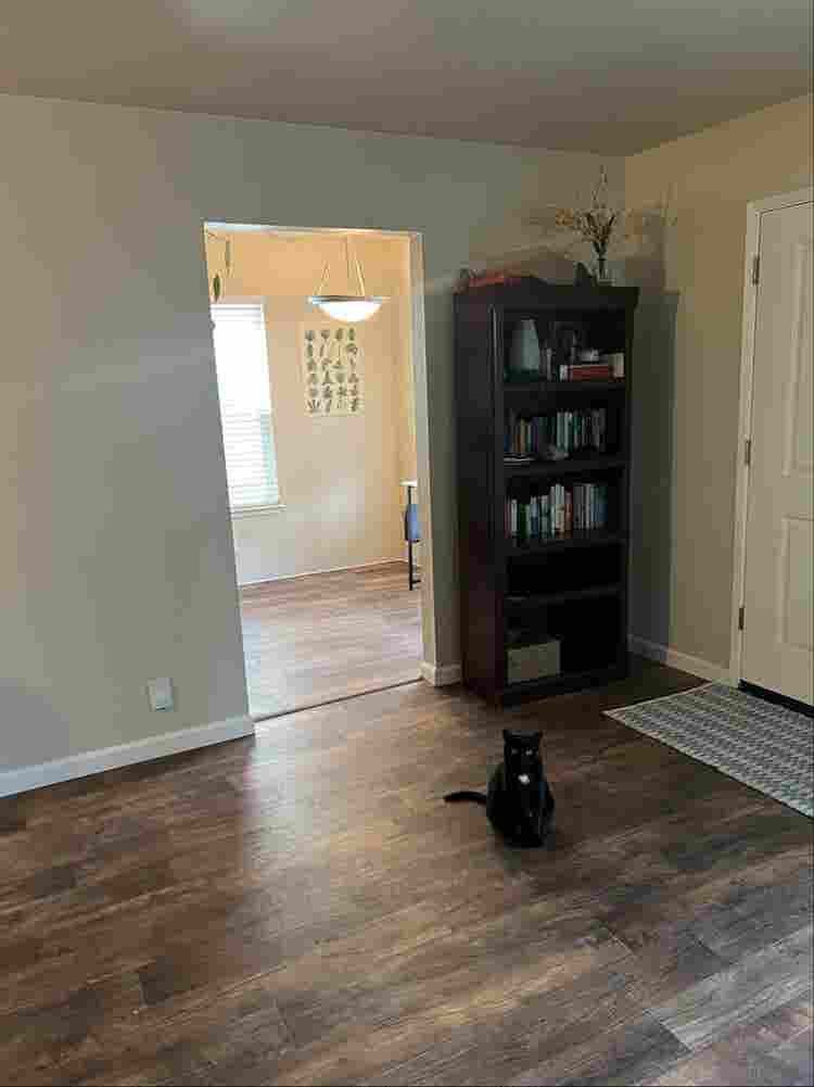 Private room and bathroom in Davis