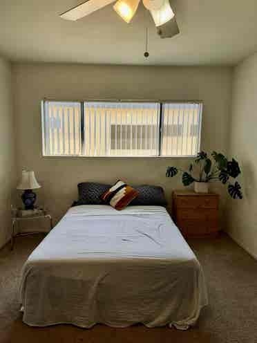 Looking for a roommate!