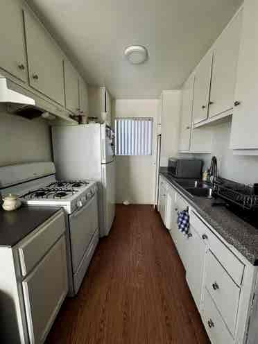 Looking for a roommate!