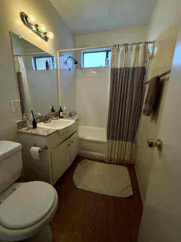 Looking for a roommate!