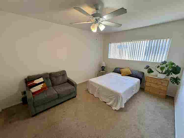 Looking for a roommate!