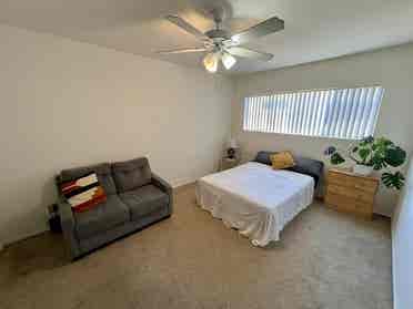 Looking for a roommate!