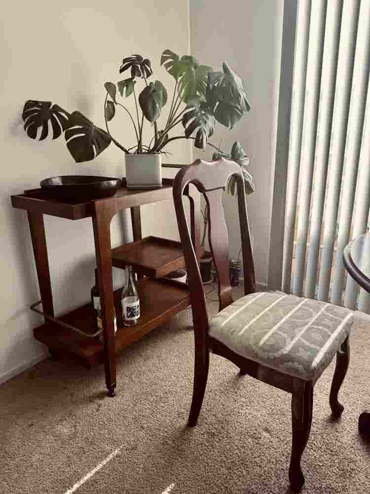Looking for a roommate!