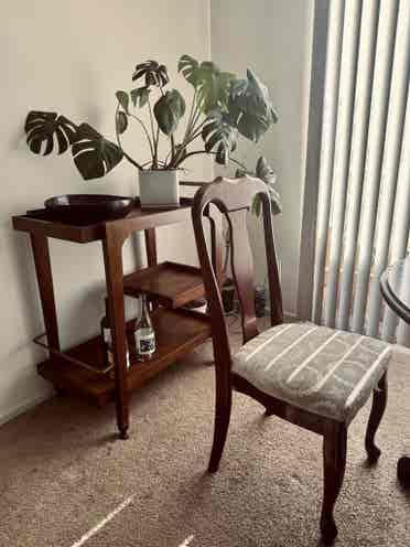 Looking for a roommate!