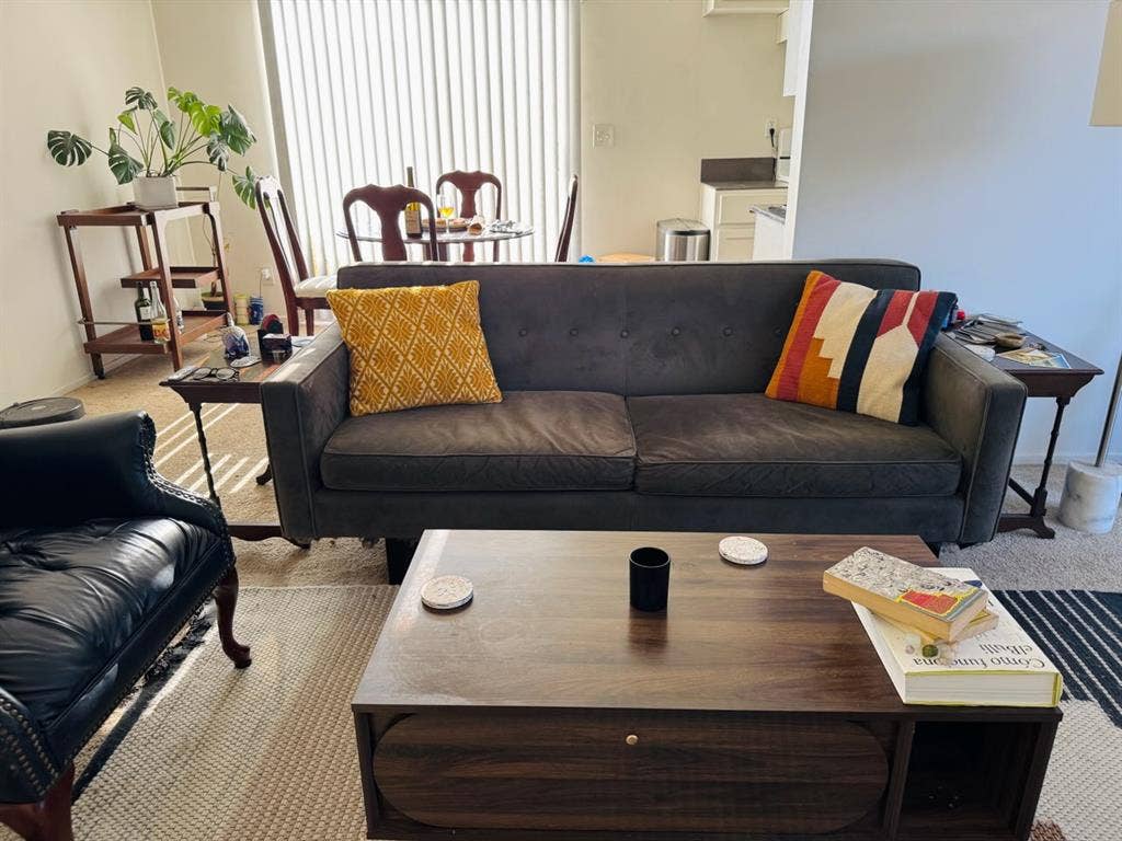 Looking for a roommate!