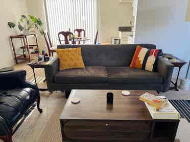 Looking for a roommate!