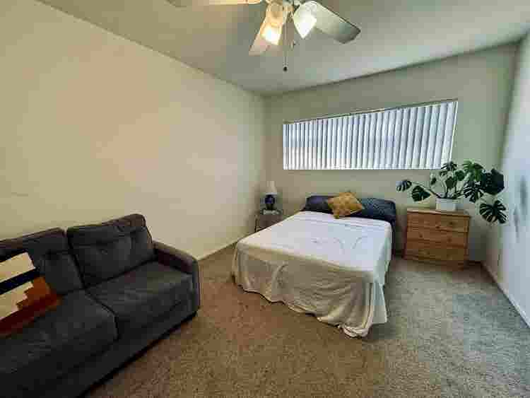 Looking for a roommate!
