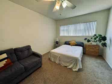 Looking for a roommate!