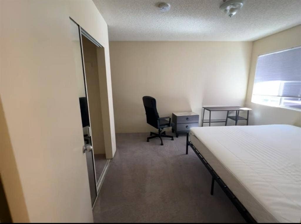 Private Master Room in Westwood