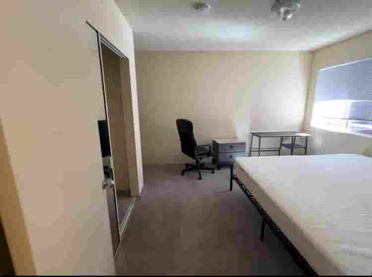 Private Master Room in Westwood