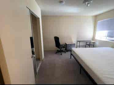 Private Master Room in Westwood
