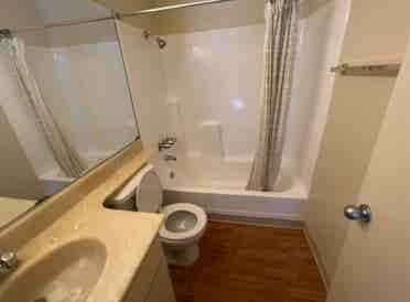 Private Master Room in Westwood