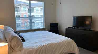 Roommate for shared apt