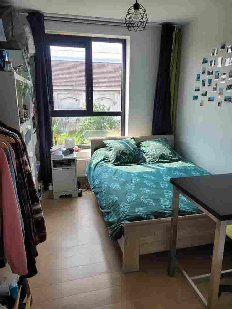 Cozy cohousing next to Hal5