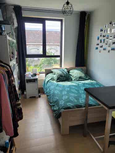 Cozy cohousing next to Hal5