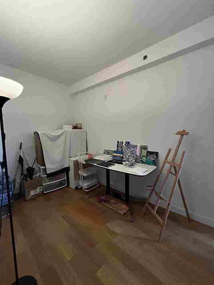Large room in Elmhurst (B)