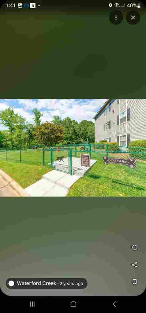 Looking for a roommate asap