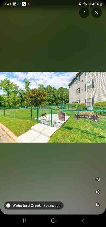 Looking for a roommate asap