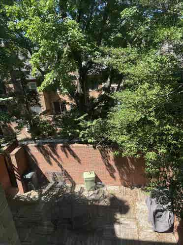 Private bed + bath - Arlington, VA