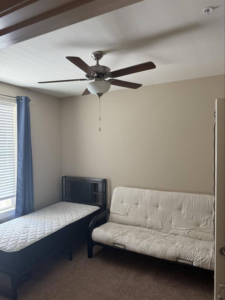 Looking for a room mate