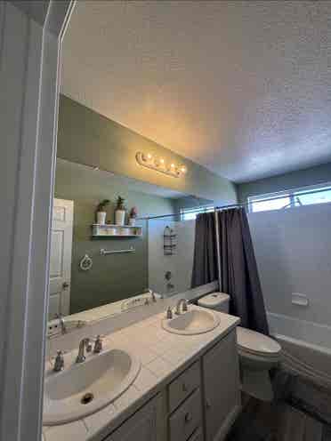 Looking for 3 Roomates