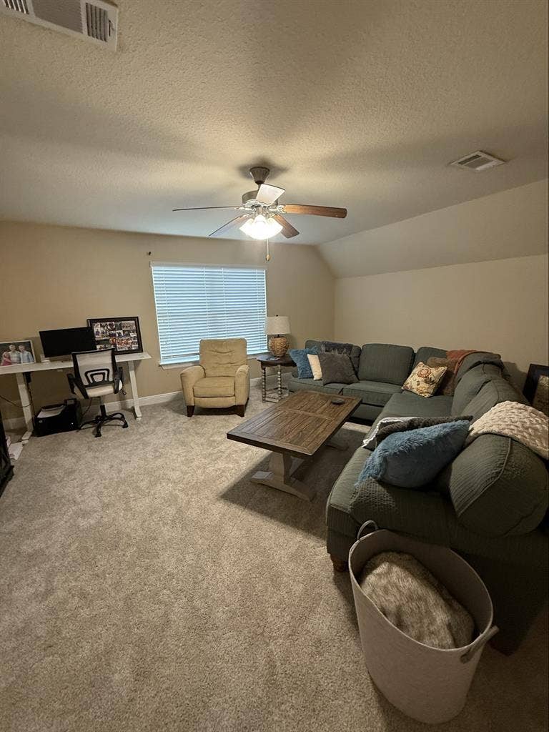 Looking for the perfect roomie..