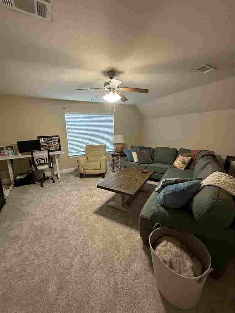 Looking for the perfect roomie..
