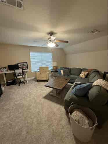 Looking for the perfect roomie..