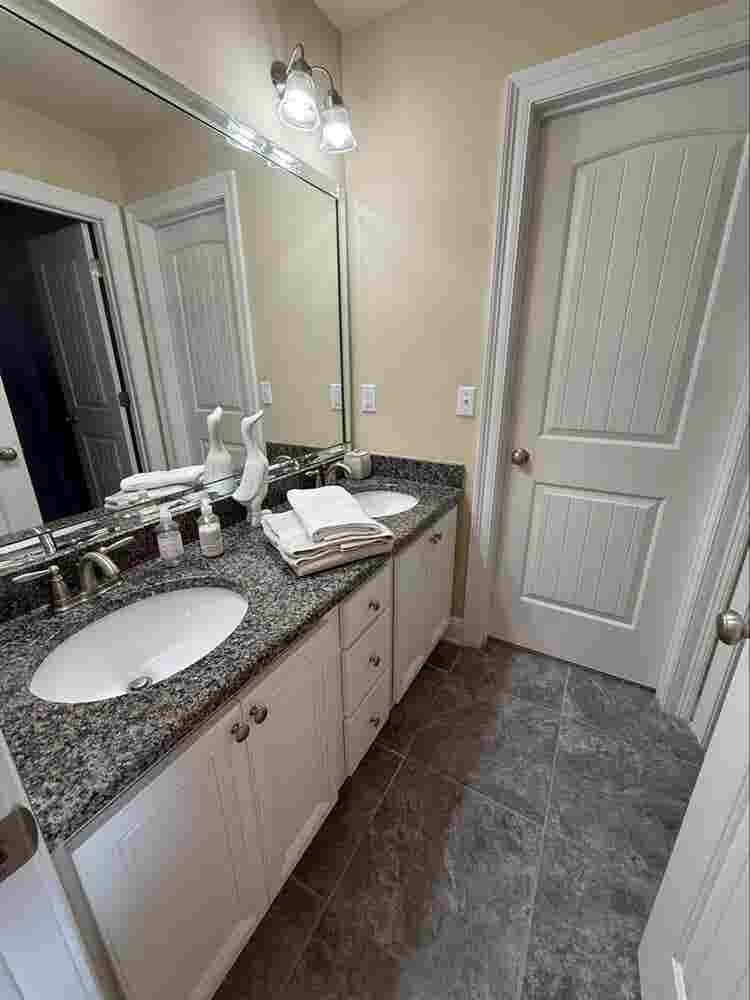 Looking for the perfect roomie..