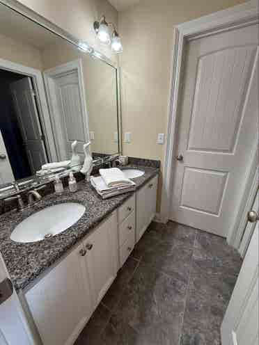Looking for the perfect roomie..