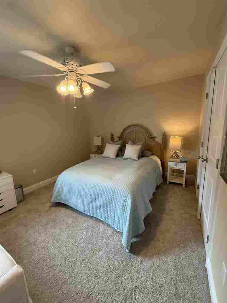 Looking for the perfect roomie..