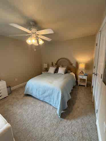 Looking for the perfect roomie..
