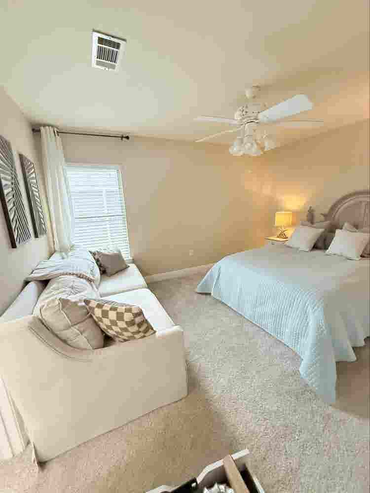 Looking for the perfect roomie..