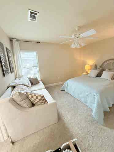Looking for the perfect roomie..