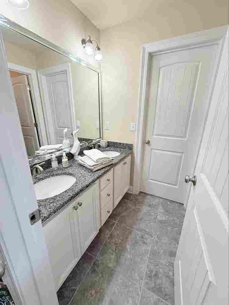 Looking for the perfect roomie..