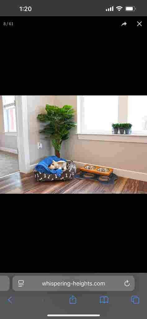 Re-let/sublet needed!!