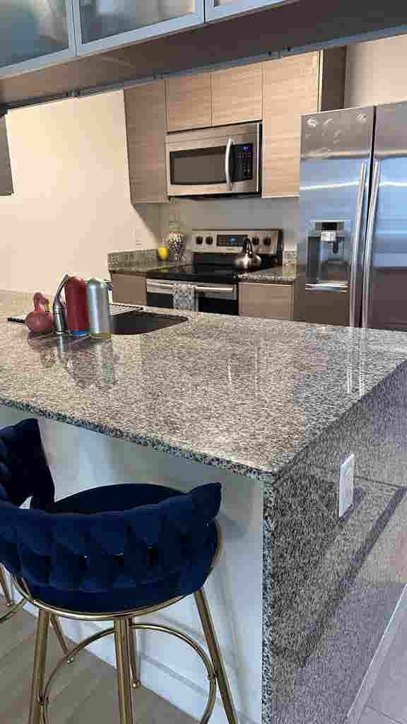Roommate Wanted Furnished Apartment
